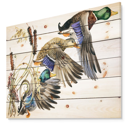 Three Flying Ducks in Colored illustration - Farmhouse Animal Painting Print on Natural Pine Wood