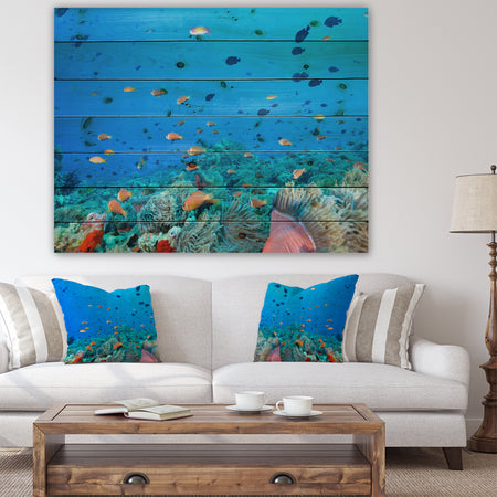 Colony of Maldives anemone fish - Sea & Shore Nautical Print on Natural Pine Wood