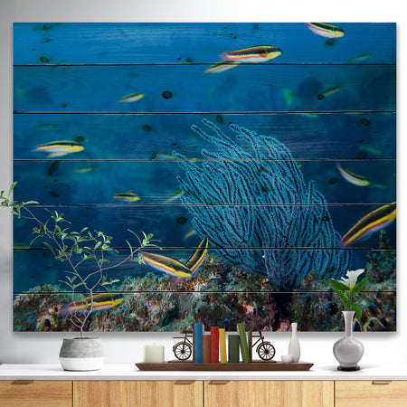 Gorgonia coral on the deep blue ocean - Sea & Shore Nautical Print on Natural Pine Wood