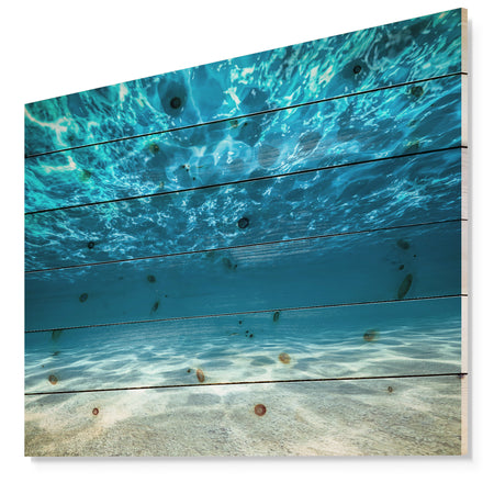Ocean Bottom Beneath the Surface - Sea & Shore Print on Natural Pine Wood