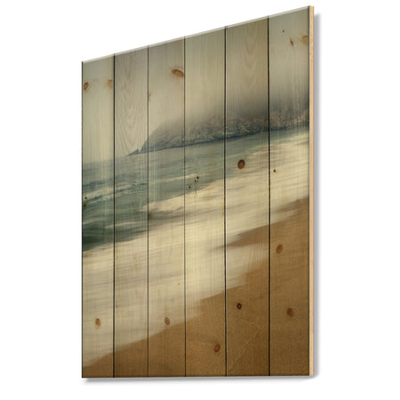 Gray Whale Cove - Nautical & Coastal Print on Natural Pine Wood
