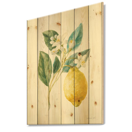 Floursack Lemon I - Cabin & Lodge Print on Natural Pine Wood