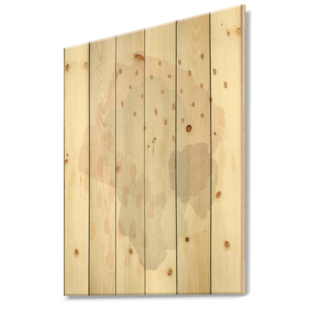 Watercolor Minimal Blush II - Transitional Print on Natural Pine Wood