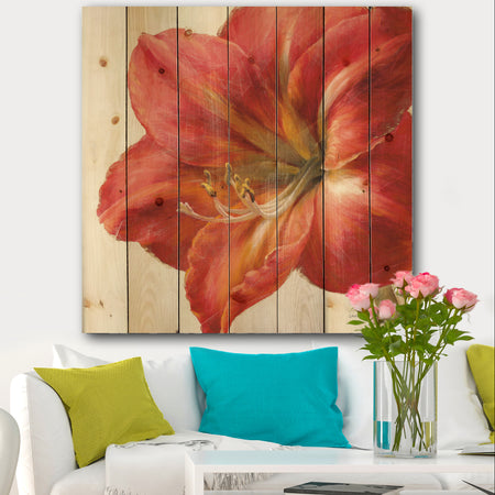 Vivid Red Amaryllis - Floral & Botanical Print on Natural Pine Wood