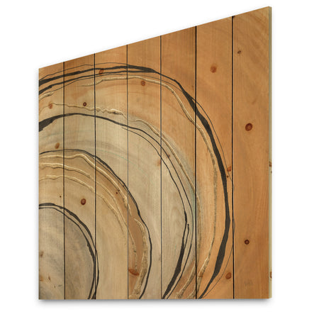 Glam Canion II - Modern & Contemporary Print on Natural Pine Wood