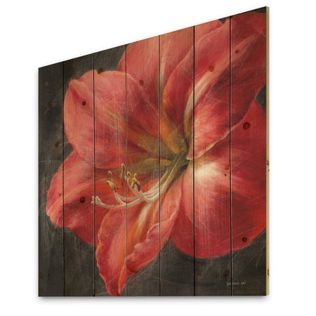 Vivid Red Lily III - Shabby Chic Print on Natural Pine Wood