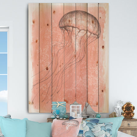 Coastal Sea Life IV jellyfish sketches - Nautical & Coastal Print on Natural Pine Wood