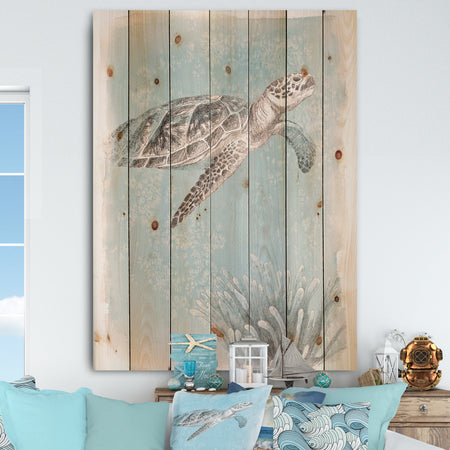 Coastal Sea Life I Turtle sketches - Nautical & Coastal Print on Natural Pine Wood
