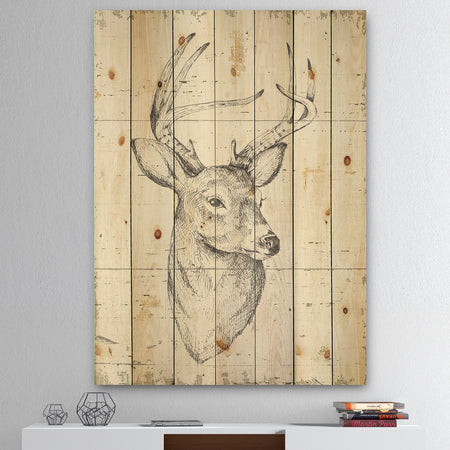 Deer Wild and Beautiful II - Wildlife Animal Print on Natural Pine Wood