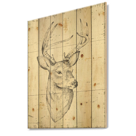 Deer Wild and Beautiful II - Wildlife Animal Print on Natural Pine Wood