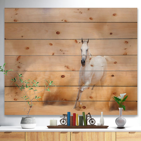 Arabian Horse in Desert Storm - Photography Print on Natural Pine Wood