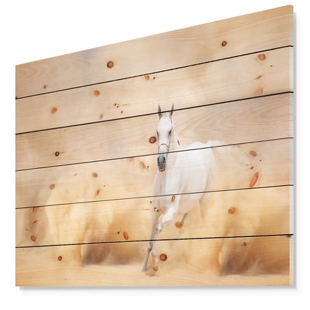 Arabian Horse in Desert Storm - Photography Print on Natural Pine Wood