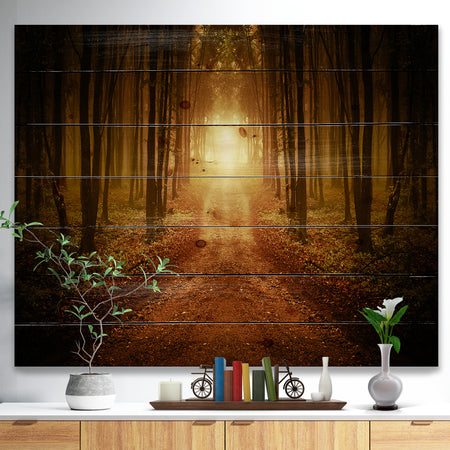 Road in Symmetrical Forest - Landscape Photography Print on Natural Pine Wood
