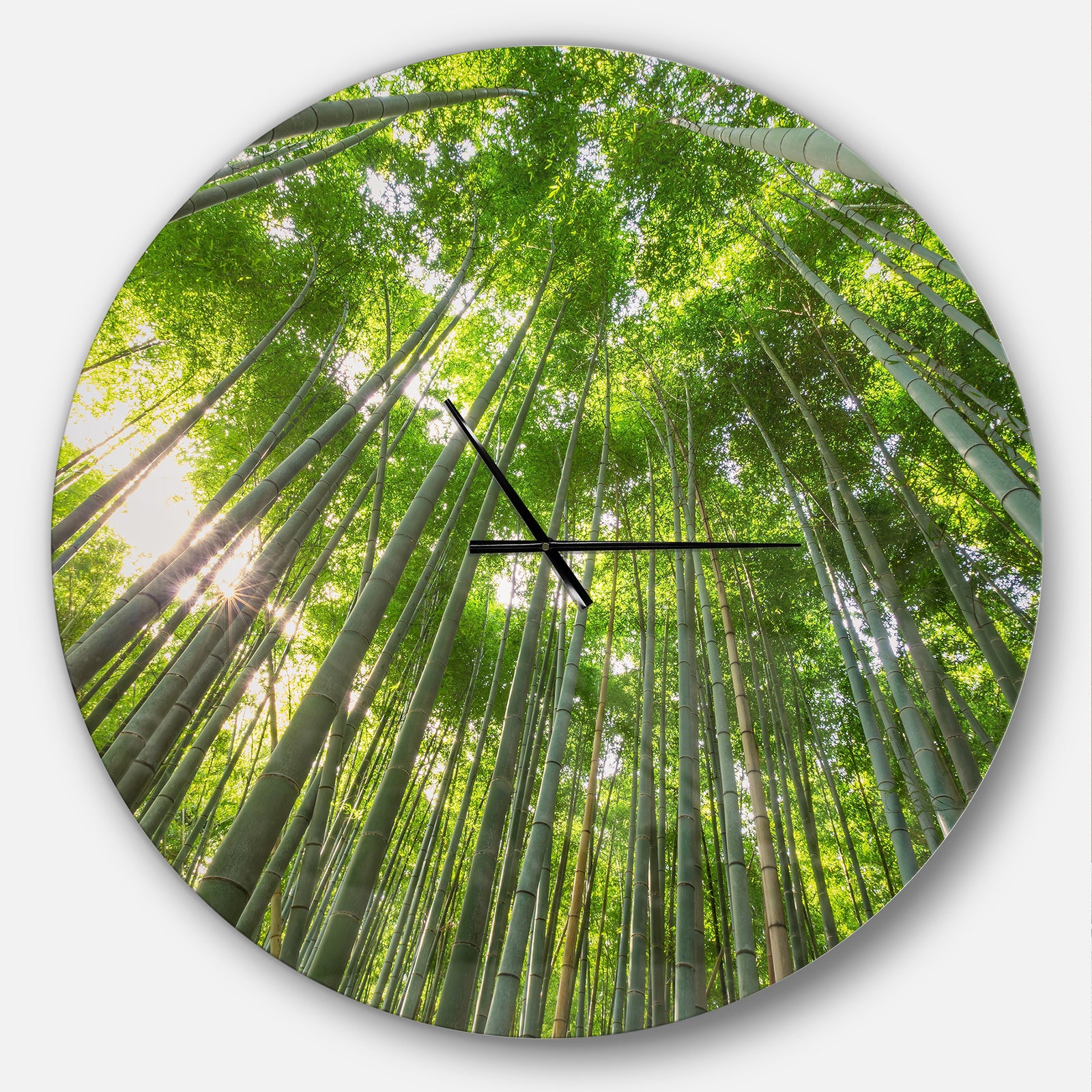 Peaks of Bamboo in Kyoto Forest - Oversized Forest Wall CLock