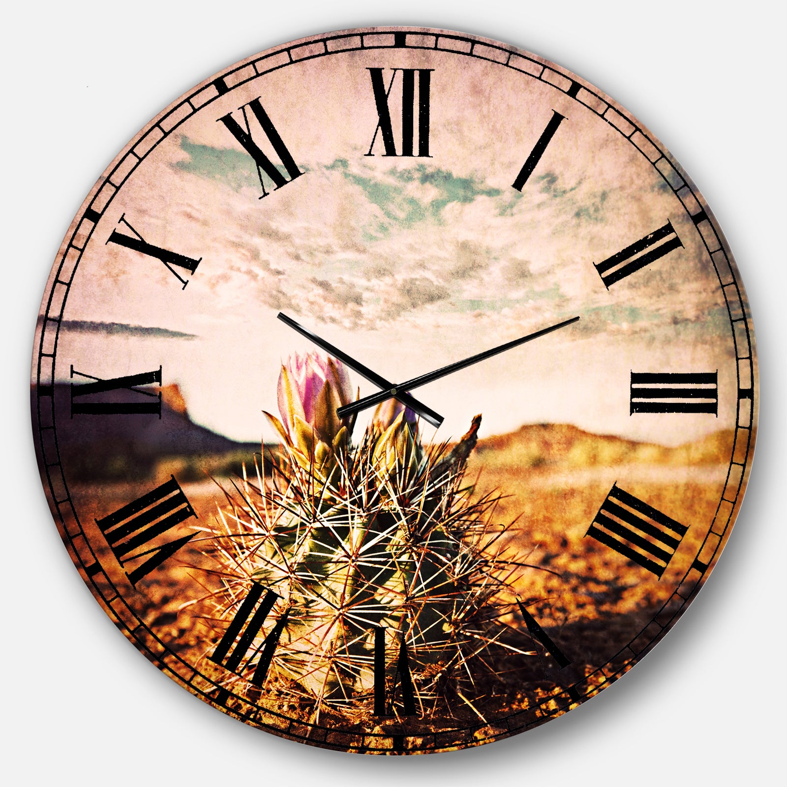 Cactus under Cloudy Sky - Floral Wall CLock