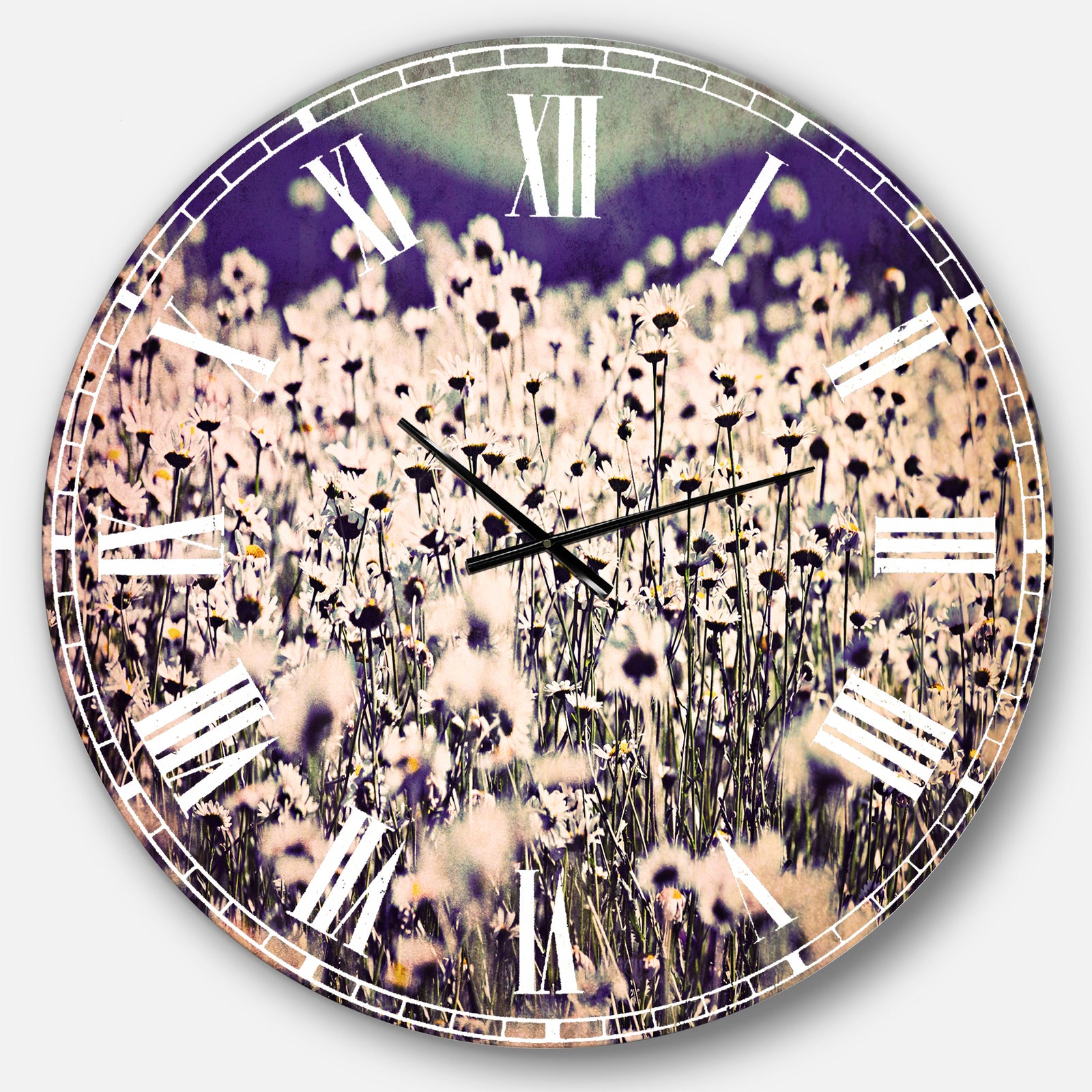 Amazing Light Blue Chamomile Blossom - Flower Large Wall CLock