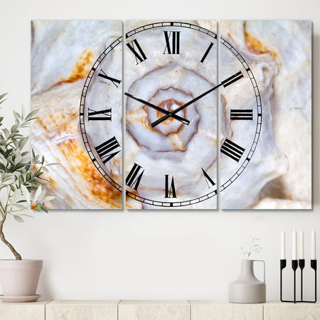 Great Skeleton of Sea Shell - Cottage 3 Panels Large Wall CLock