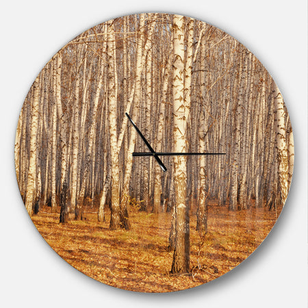 Dense Birch Forest in the Fall - Oversized Traditional Wall CLock
