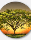 Green Tree against Setting Sun - Oversized Traditional Wall CLock