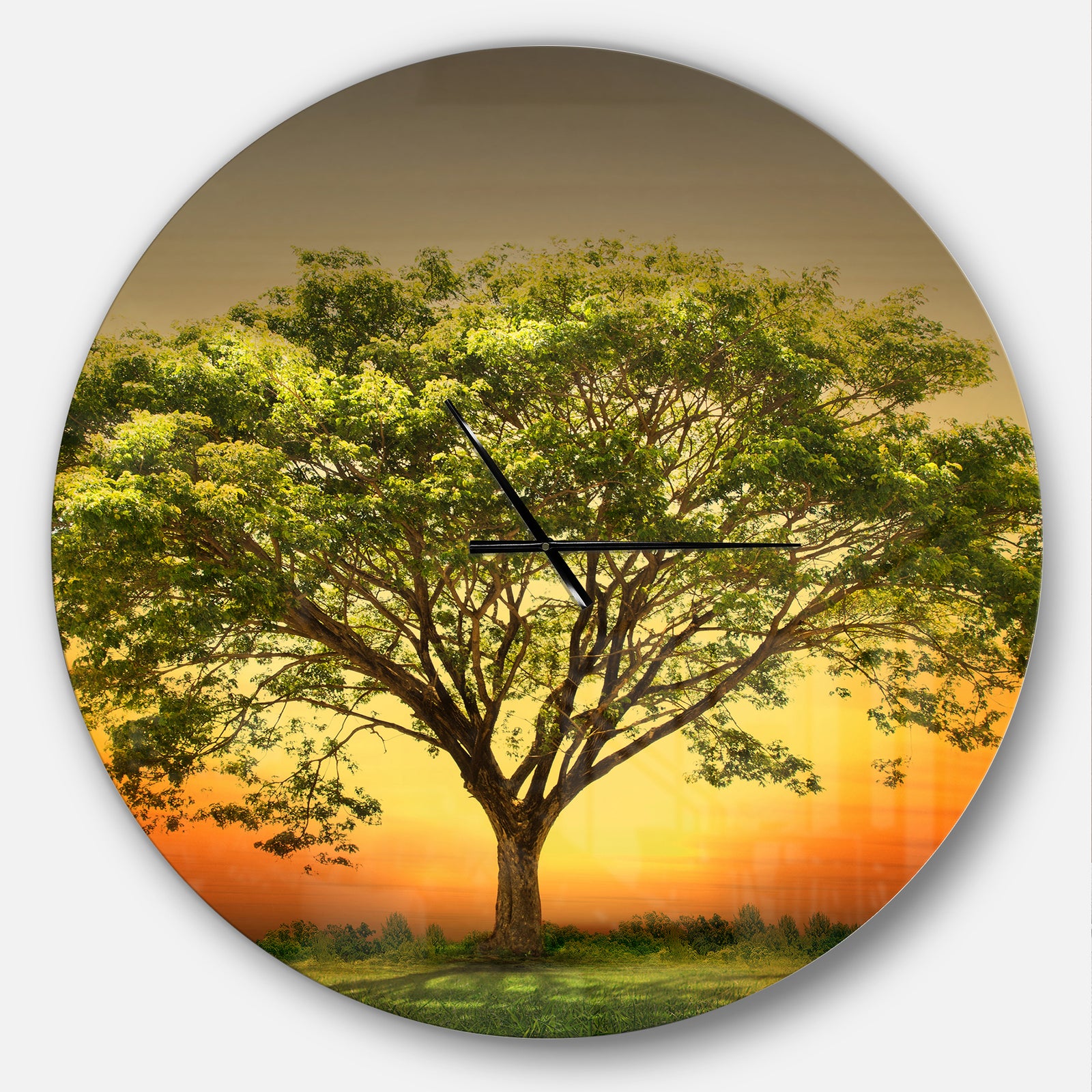 Green Tree against Setting Sun - Oversized Traditional Wall CLock
