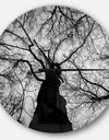 Hoto of Winter Branches - Oversized Forest Wall CLock