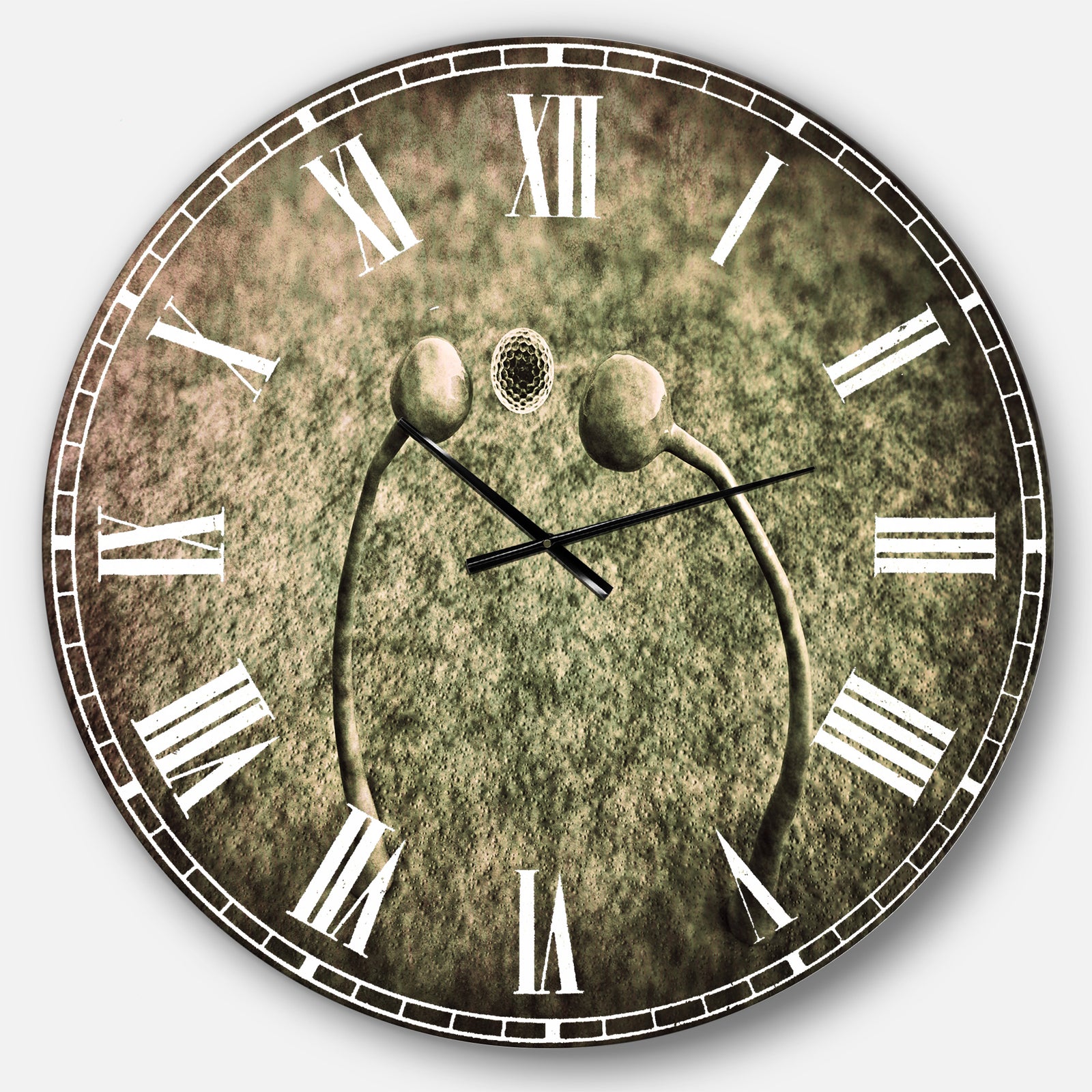 Fungus on Leather Surface - Landscape Large Wall CLock