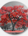 Big Red Tree on Foggy Day - Oversized Floral Wall CLock