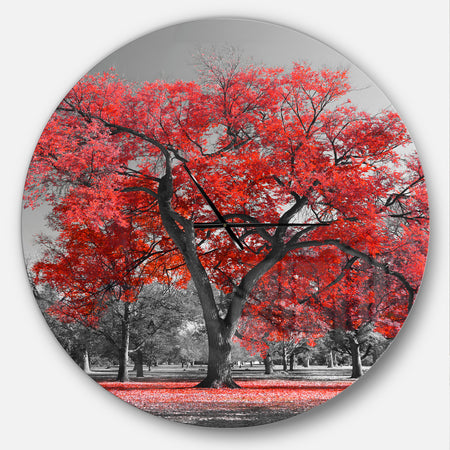 Big Red Tree on Foggy Day - Oversized Floral Wall CLock