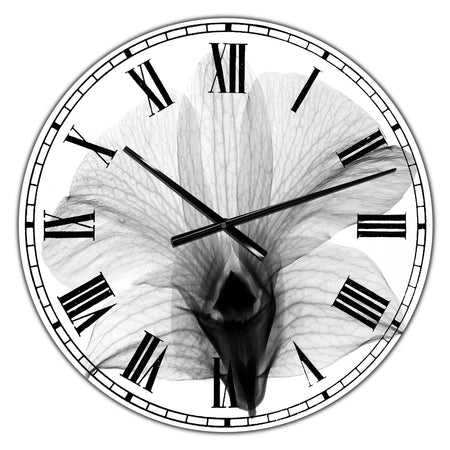 Dendrobium On Back X-Ray Orchid - Large Cottage Wall Clock