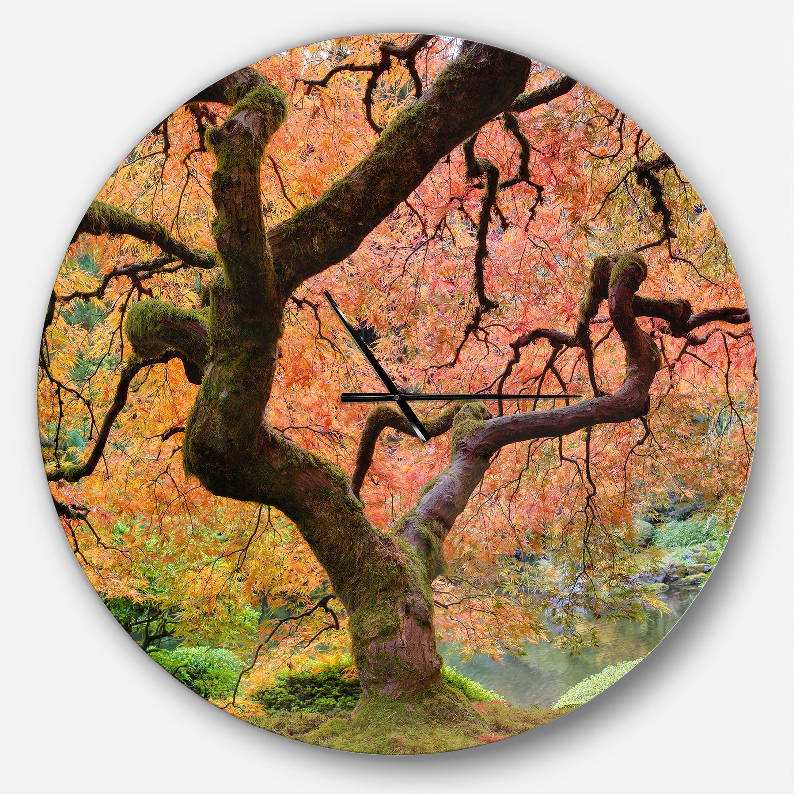 Autumn Maple Tree - Oversized Traditional Wall CLock