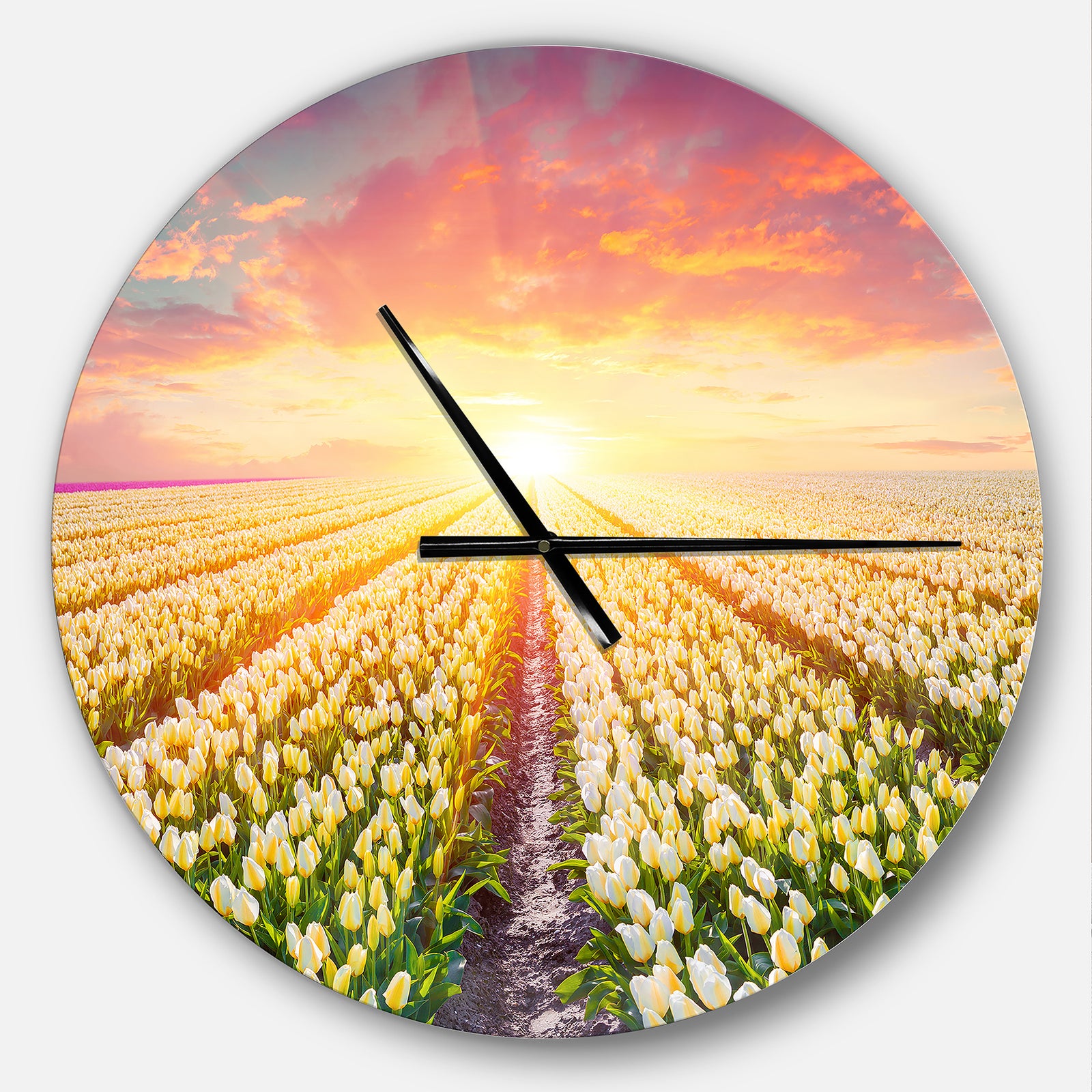 Blooming White Tulips - Oversized Traditional Wall CLock