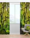 Amazing Green Tree - Photography Curtain Panels