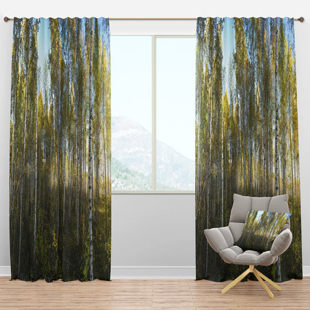 Green Autumn Trees - Landscape Photography Curtain Panels