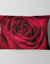 Red Rose Petals with Rain Droplets - Floral Throw Pillow