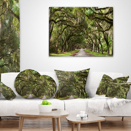 Live Oak Tunnel - Photography Throw Pillow