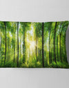 Forest with Rays of Sun Panorama - Landscape Printed Throw Pillow