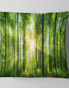 Forest with Rays of Sun Panorama - Landscape Printed Throw Pillow