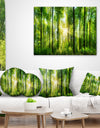 Forest with Rays of Sun Panorama - Landscape Printed Throw Pillow