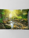 Mountain Stream in Forest - Landscape Photography Throw Pillow