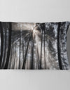 Sunbeams through Black White Forest - Forest Throw Pillow