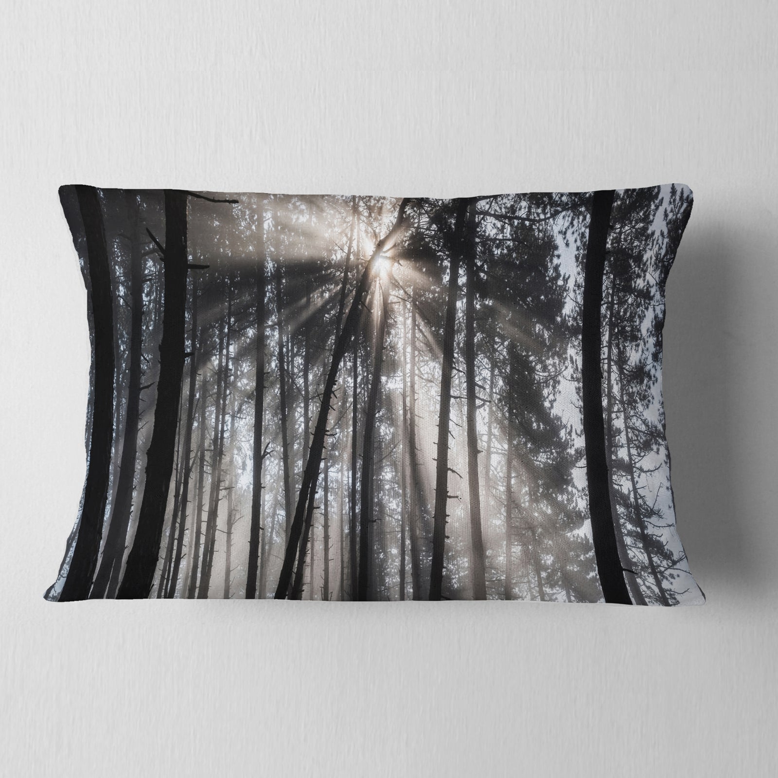 Sunbeams through Black White Forest - Forest Throw Pillow