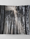 Sunbeams through Black White Forest - Forest Throw Pillow