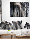 Sunbeams through Black White Forest - Forest Throw Pillow