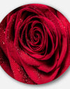 Red Rose Petals with Rain Droplets - Floral Circle Metal Wall Art