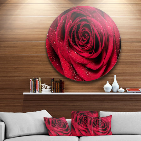 Red Rose Petals with Rain Droplets - Floral Circle Metal Wall Art