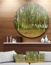 Rubber Tree Plantation during Midday - Landscape Circle Wall Art