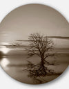 Flying Birds and Lonely Tree - Round Wall Art Landscape