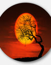 Birds and Tree Silhouette at Sunset - Disc Metal Wall Art Landscape