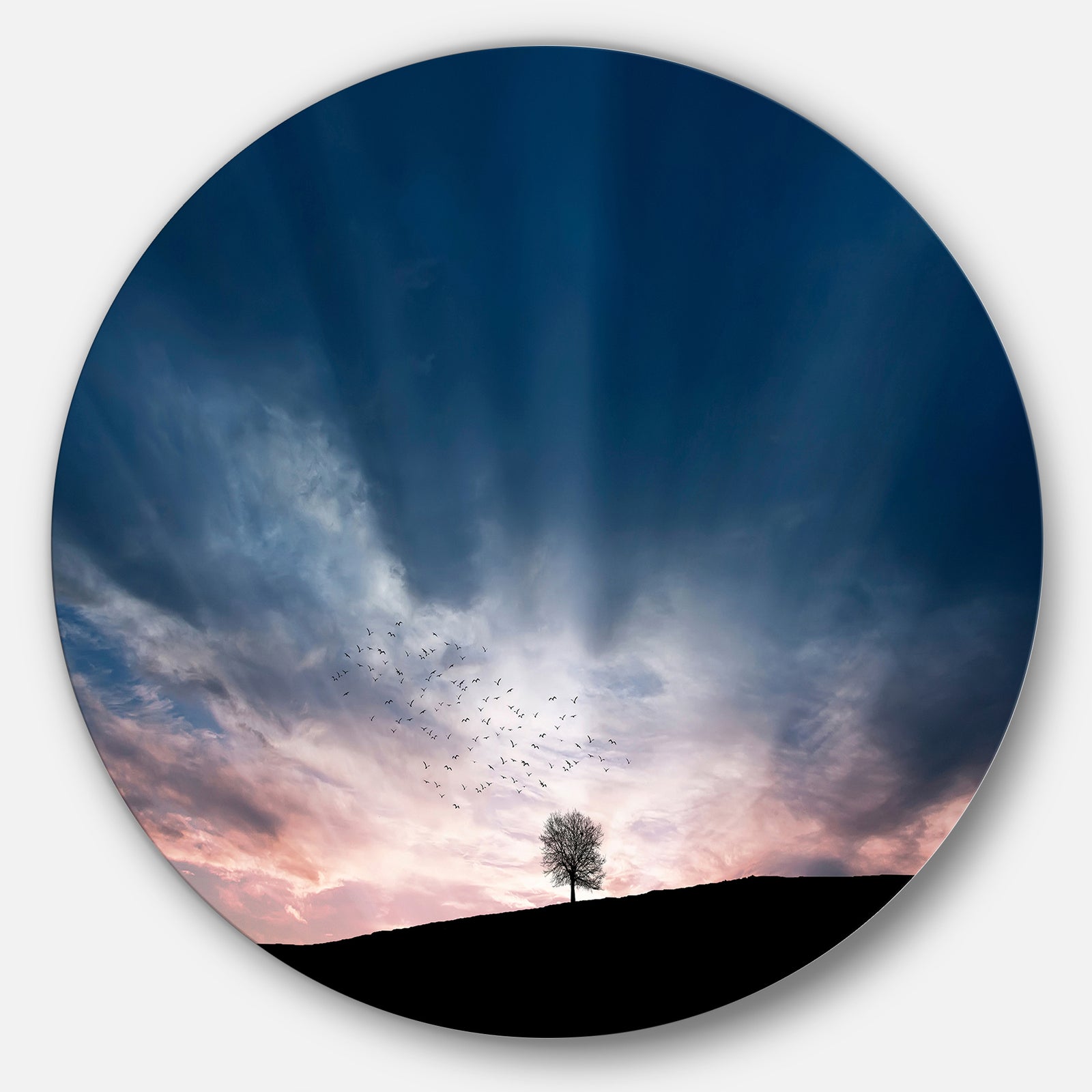 Flock of Birds and Lonely Tree - Large Disc Metal Wall art Landscape