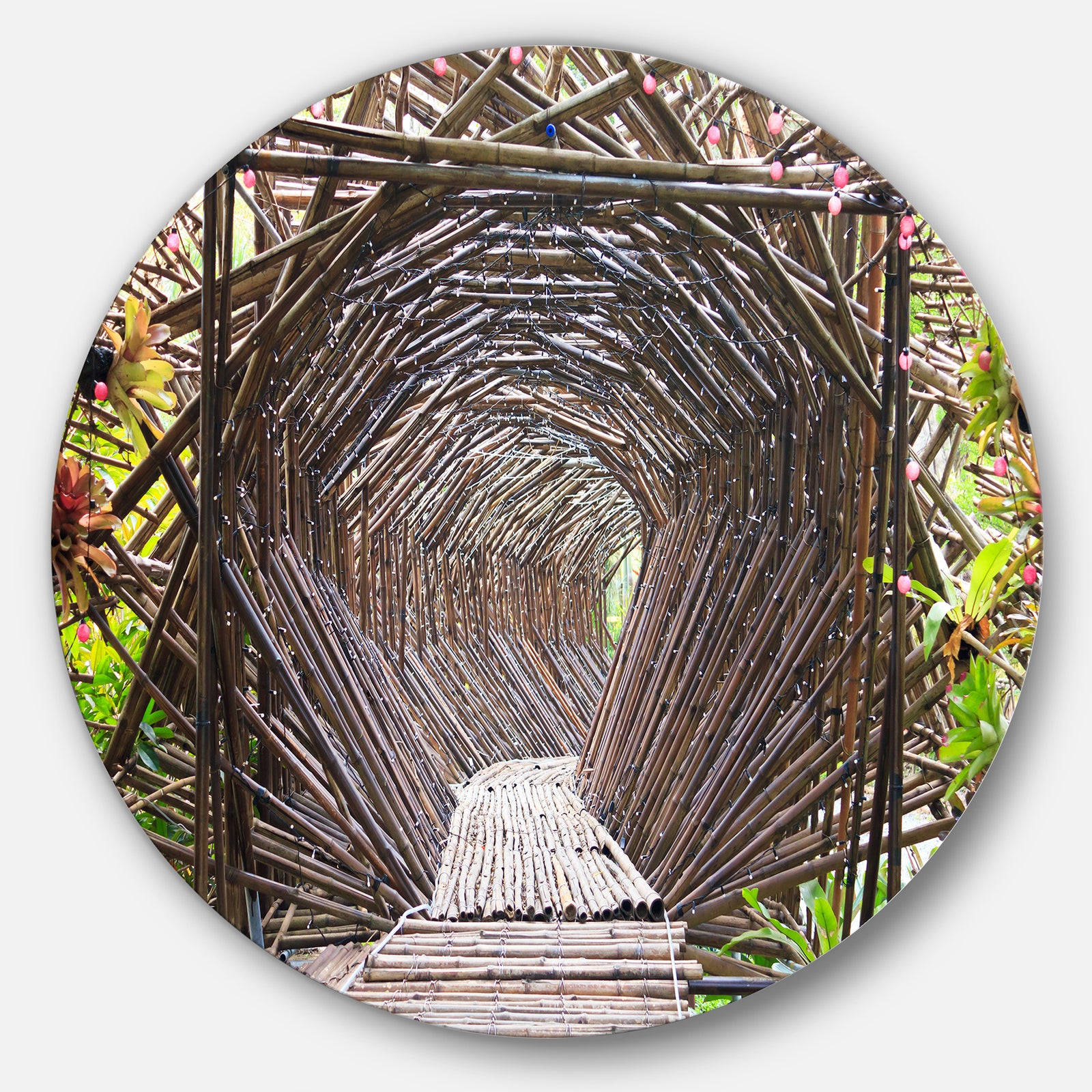 Bamboo Tunnel in the Garden - Landscape Disc Metal Artwork